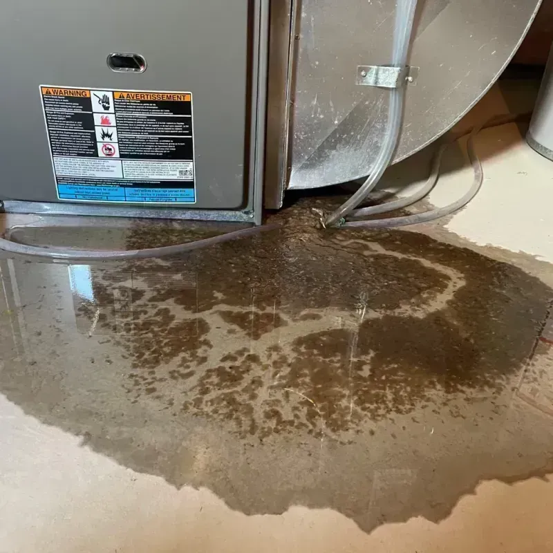 Appliance Leak Cleanup in Fife Heights, WA